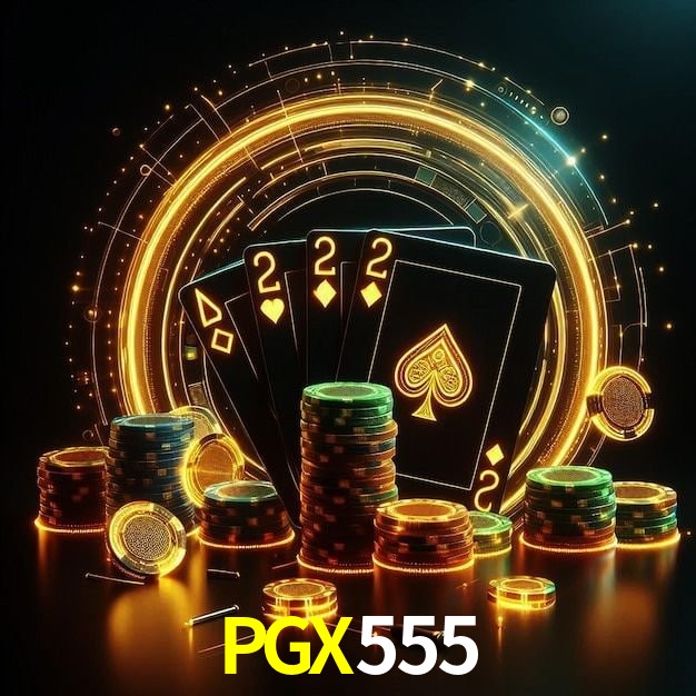 Login Seguro PGX555
